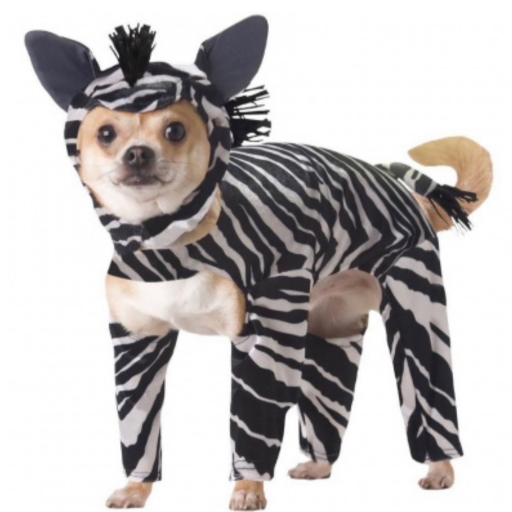 💞 Like New Animal Planet XS Zebra Dog Costume